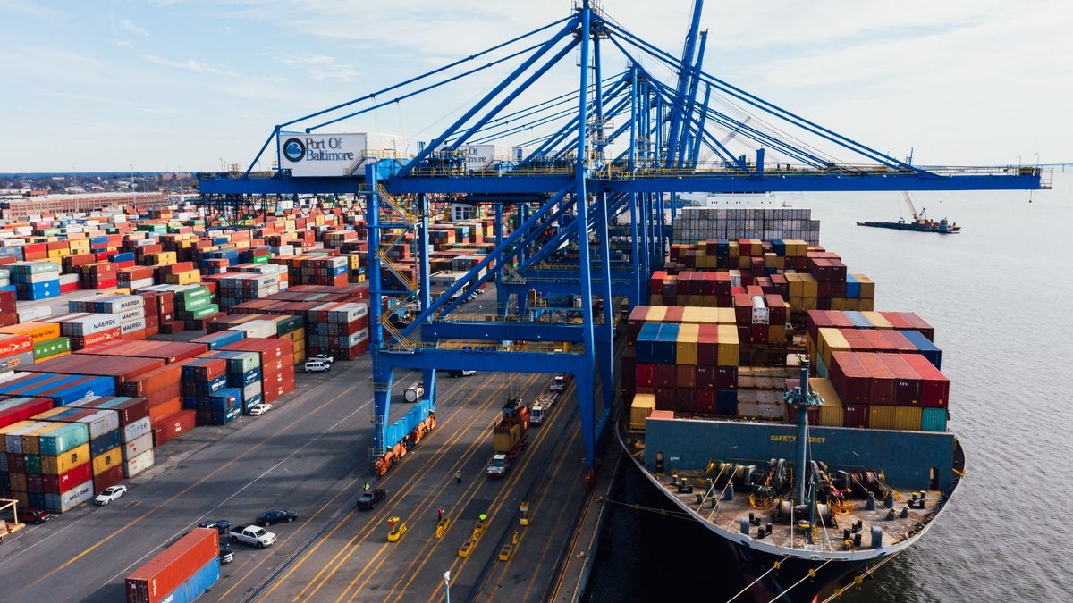 Porto internazionale — operazioni di import-export MVW Trading